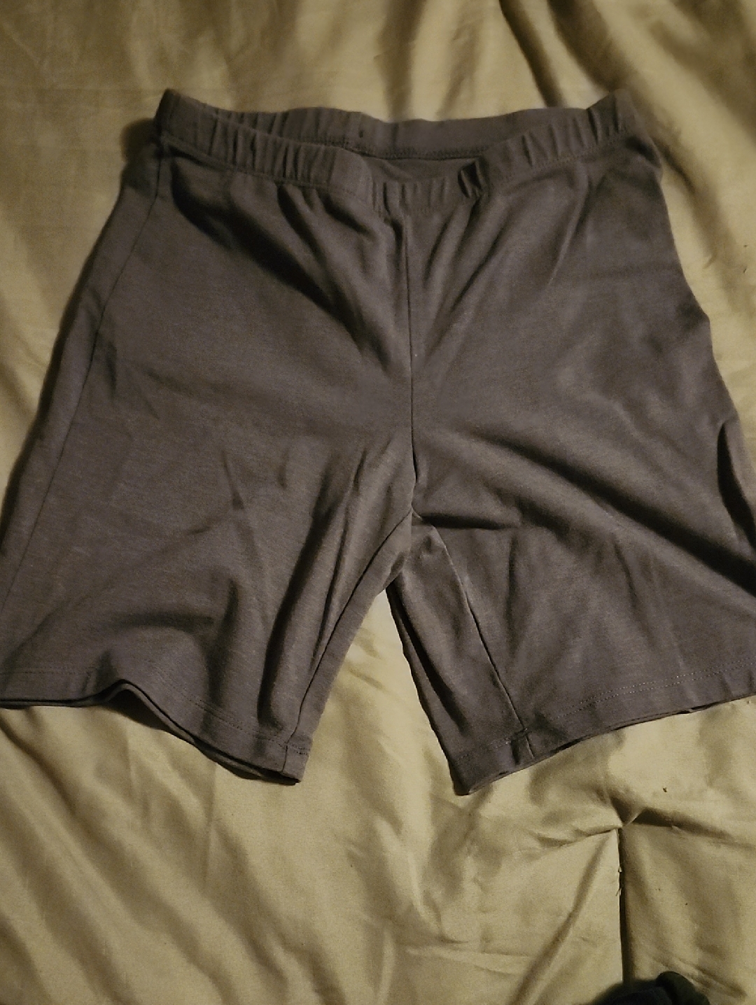 Hanes Women's Charcoal Athletic Shorts